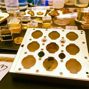 Copyright of https://elizabeth-erickson.com