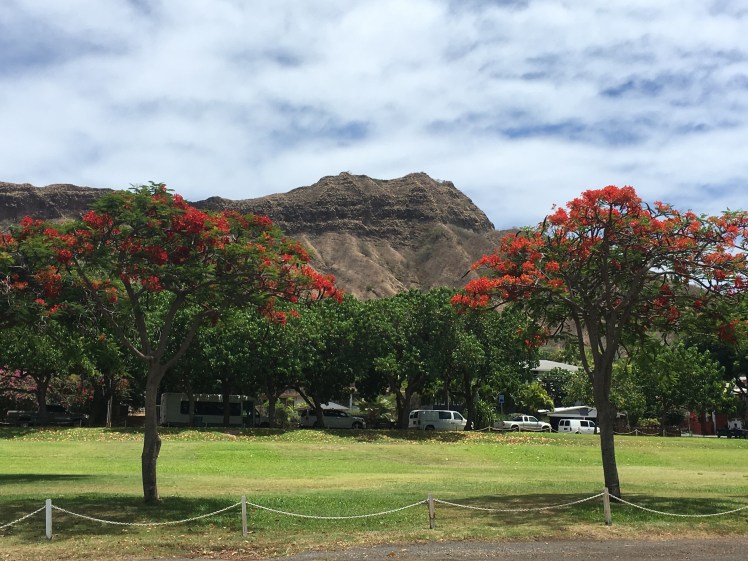 Copyright of Elizabeth Erickson.