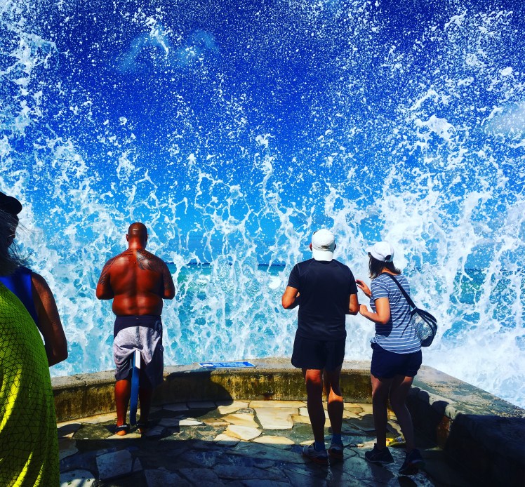 Copyright of Elizabeth Erickson.