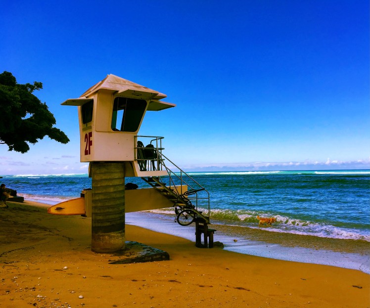 Copyright of Elizabeth Erickson.