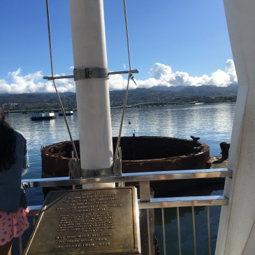 Copyright of Elizabeth Erickson.