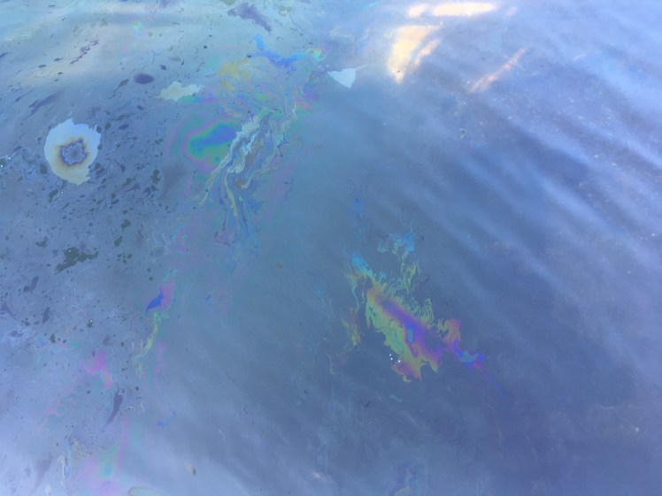 Copyright of Elizabeth Erickson.