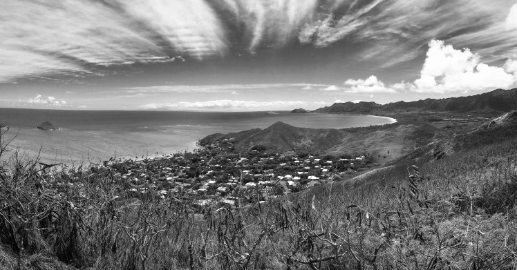 Copyright of Elizabeth Erickson.