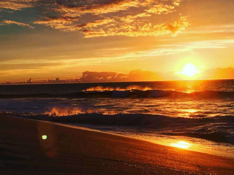 Copyright of Elizabeth Erickson.