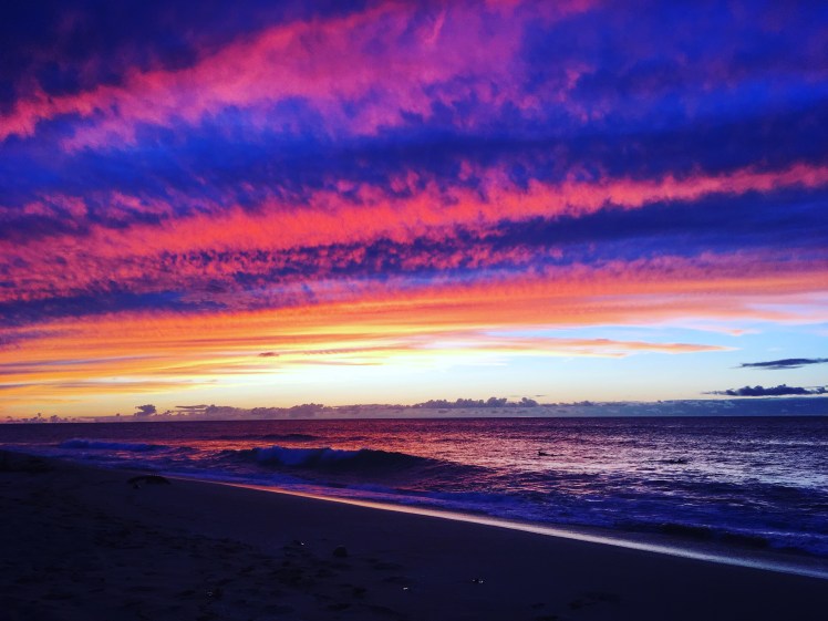 Copyright of Elizabeth Erickson.