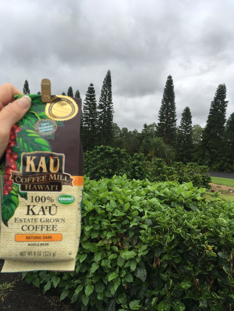 Copyright of Elizabeth Erickson.