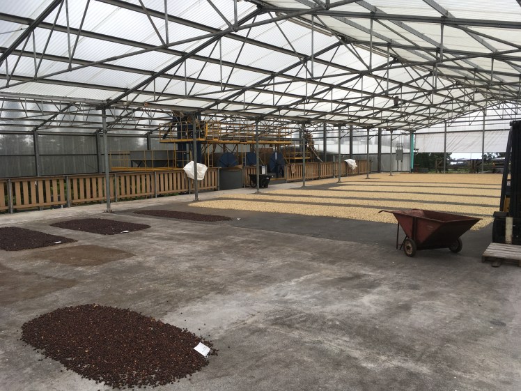 Copyright of Elizabeth Erickson.