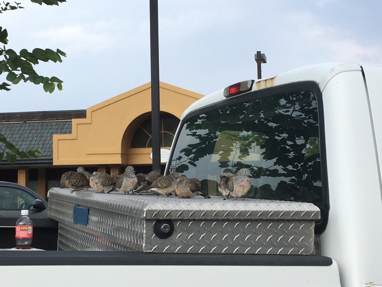 Copyright of Elizabeth Erickson.