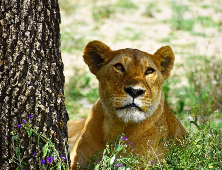 0C7ED800-B4E5-49EF-8AF9-FC12B67A9155