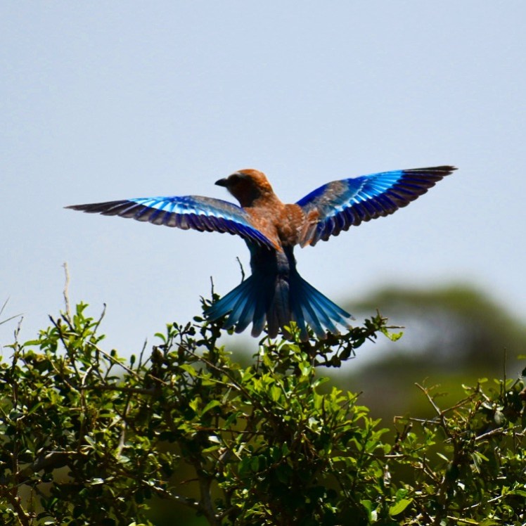 0D07AA53-2067-4953-A099-81753670D699