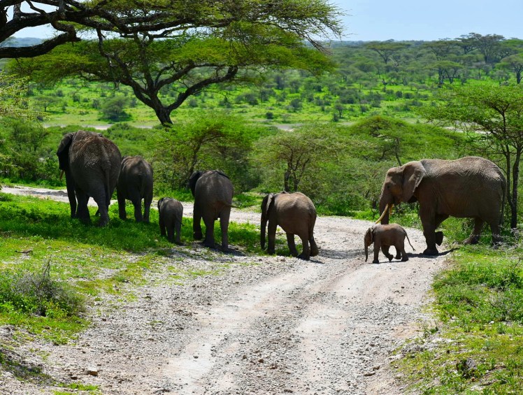 248D4D19-9959-4B0F-B766-853185F862EB