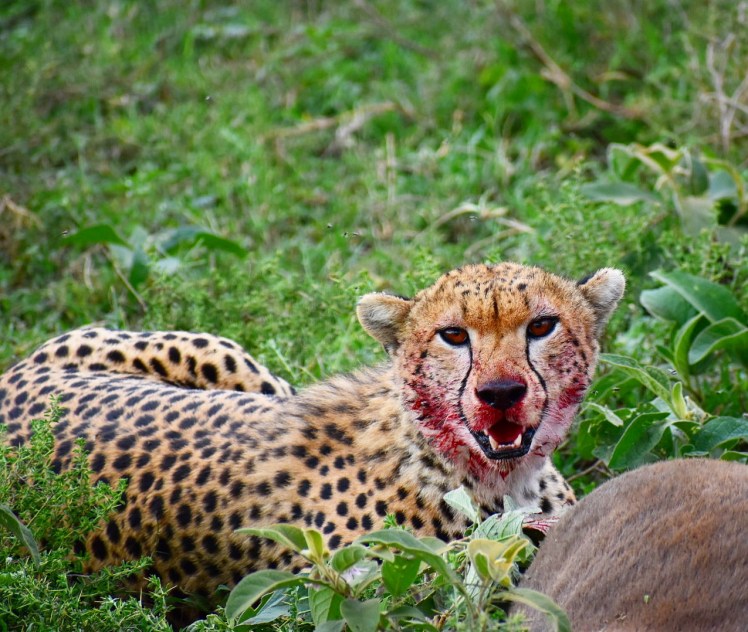 520FCECD-CF46-4F72-8F3B-F144008BFD4C