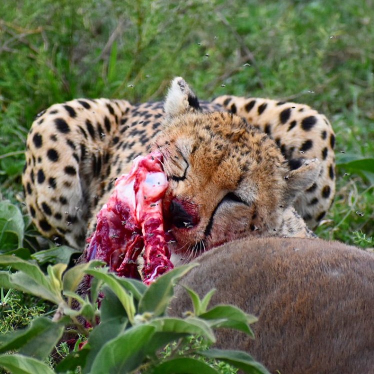 582EB4F6-D40F-4F74-B7A8-371BA163C204