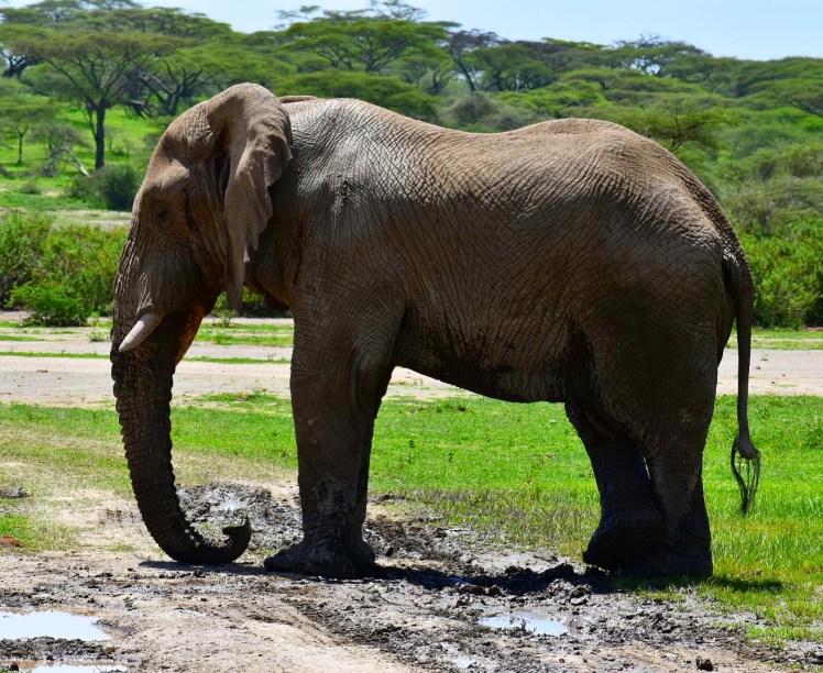 657CD16E-41D7-4DF0-805D-D043282049C0