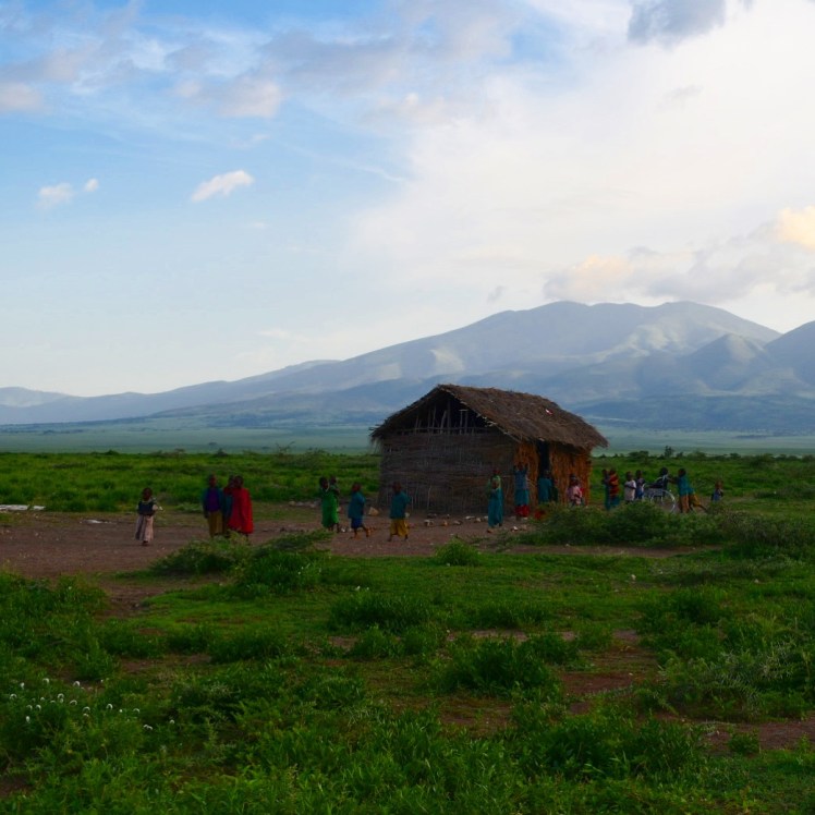 7FFD2DA9-F7D1-4405-BA27-41DAA6528DD2