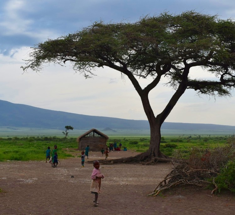 890E1532-F9C3-4B3E-8AEA-ED8189E4D5CF