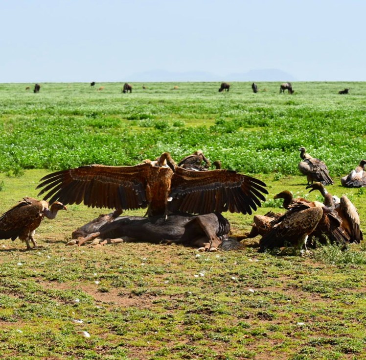 A782A354-7BD4-4FD0-ACA1-AC185B986AEA