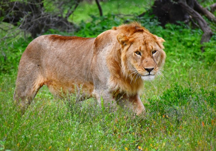 D6FB3133-022D-42CB-AE70-A877FB641E76