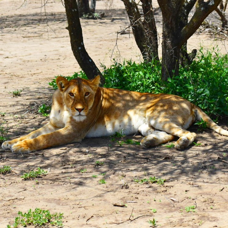 DA77B8FC-182C-4147-9B1E-9EF3792A3002