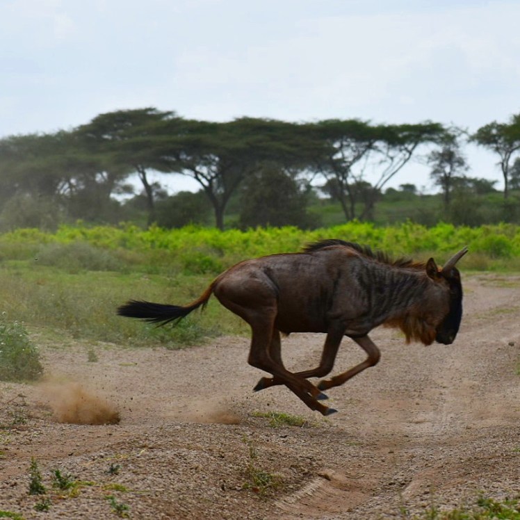 F8AF8961-71FE-419E-B80C-F4BB448AC4E9