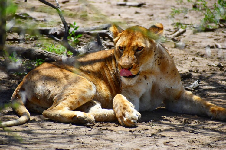 F8FEAEA5-F12D-49F9-8D81-5DA3A2ACF044