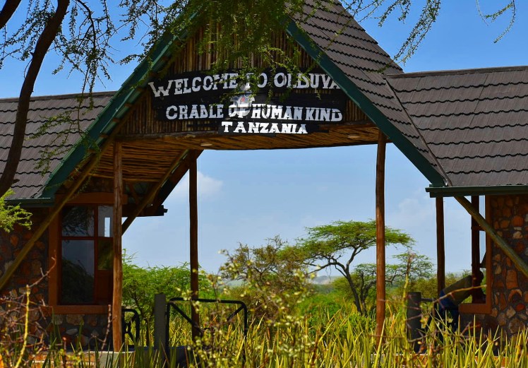 2ED1B85C-B359-4D6A-B7C9-4C49517A96CF