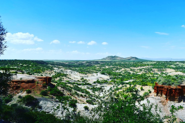 2EFD64E7-864D-4157-A159-5C2DAA3149D3