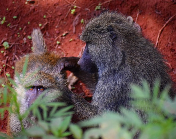 3AA815F4-86CA-47F7-96A9-E584452607EA