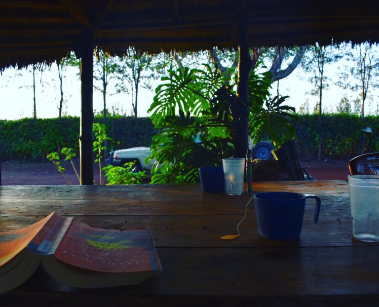 67C78B13-262D-425D-93B3-1D52971EEA40