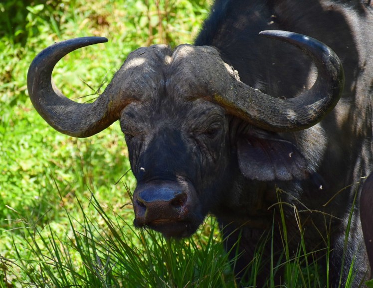 853E8DD9-DD7D-4925-9373-39C97085BE6D