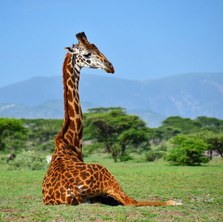 98ECF781-1F78-47F5-85B3-F1ABF58500F7