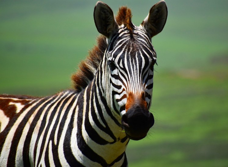 AF6D6BC7-119C-45AF-AC42-C9BD673A5319