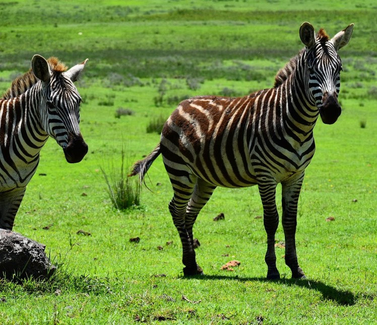 E7084B41-531E-4D95-B713-D4AD31EB13AA