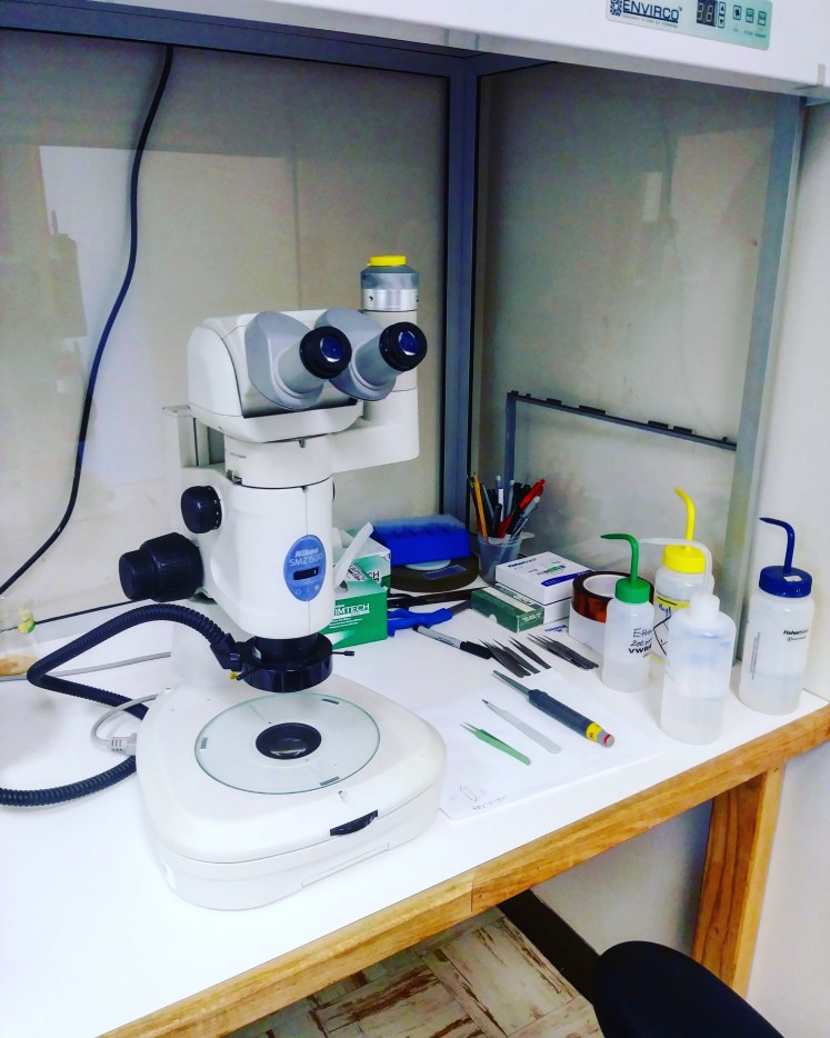 IMG_20181018_122055_763